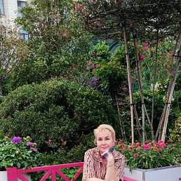 ���� ������, �������� - ��������� 27 ������� 2025