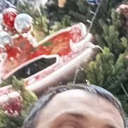 �����, 43 ����, ������