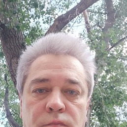 , 56 , 