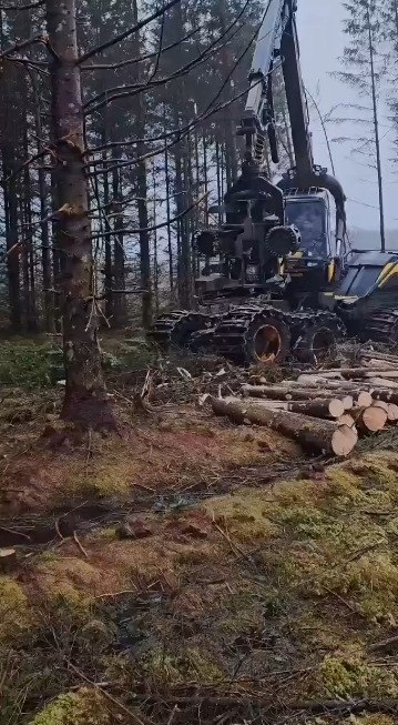      - 2