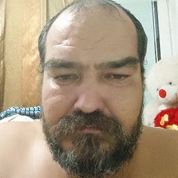 �������, ������, 49 ���