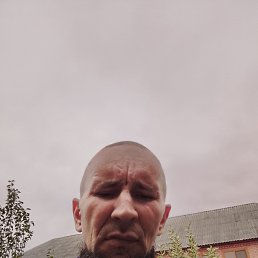 ���� ������, ������, 37 ��� - ��������� 20 ����� 2026