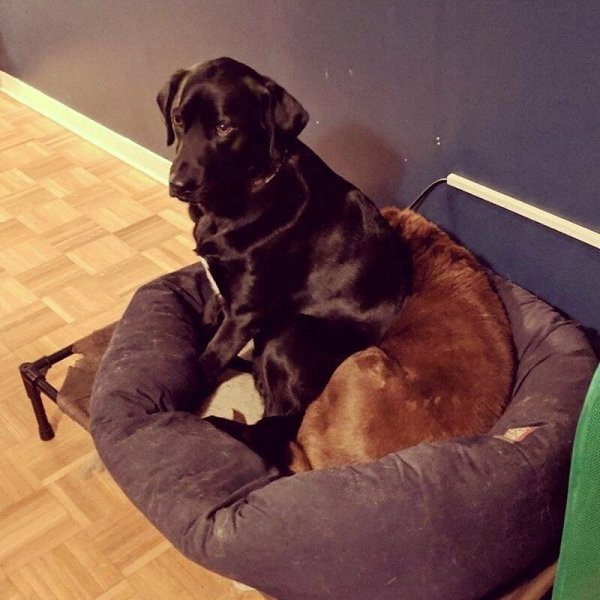 ����� ������ ����� ���� �� ���� ������� �������, �� ������ ����� �� �����, ���� ��� �� ����