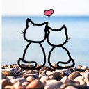 ���� �����, ������������, 38 ��� - ��������� 11 ���� 2025 � ������ ���� ����������
