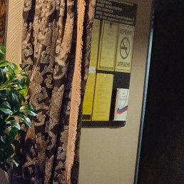 �������, ���������, 54 ����