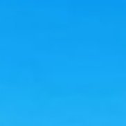 �������, 44 ����, �����