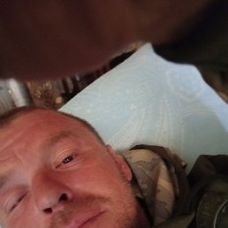 �������, ��������, 41 ���