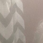 , 31 , 