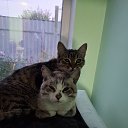 ���� �������, ��������� - ��������� 13 ������ 2025 � ������ ������ ��������