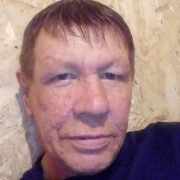 �������, ����, 46 ���