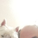 ���� ��������� �������, ������, 61 ��� - ��������� 2 ������ 2026 � ������ ���� ����������