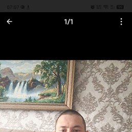 , 31, 