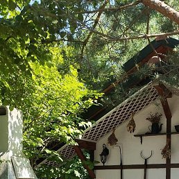 ������� ��������, �������������, 46 ���