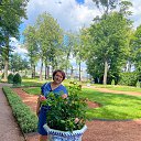 ���� �������, �����-���������, 53 ���� - ��������� 3 ������� 2025