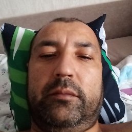 �����, ������, 44 ����