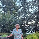 ���� �����, ������� - ��������� 14 �������� 2025 � ������ ���� ����������