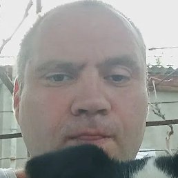 ���������, ������ ��������, 45 ���