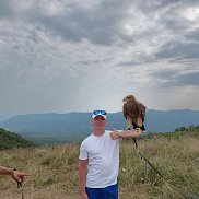 �����, 44 ����, ������