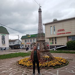 �����, ������, 41 ���