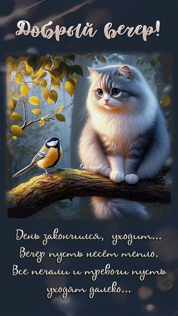 ��� ���� - 9 ����� 2026 � 19:12