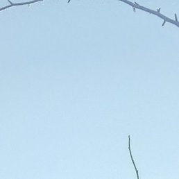 ��������, �����, 38 ���