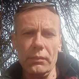 ������, ����, 55 ���