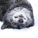 ���� ���������, ��������, 32 ���� - ��������� 9 ������� 2025 � ������ ���� ����������