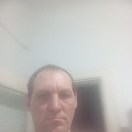 ������, 40 ���, ��������