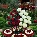 ���� ����, ����������, 47 ��� - ��������� 13 ���� 2025