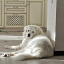 ���� ����, ������ �������� - ��������� 16 ������ 2025 � ������ ������ ��������