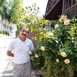 ���� ������, �������, 64 ���� - ��������� 18 ������� 2026