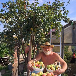 ����, 60 ���, ����-���������