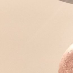 �������, ���������, 38 ���