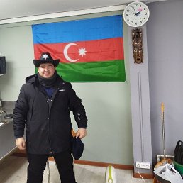 , 31, 