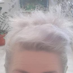 ���� ������, ������, 49 ��� - ��������� 4 ������� 2025