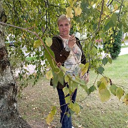 , 58, 