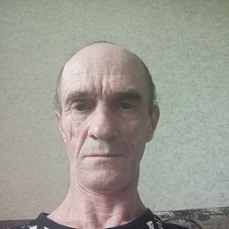 , 53, 
