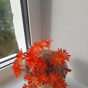 ���� �����, ������ ��������, 61 ��� - ��������� 7 ������ 2026 � ������ ���� ����������