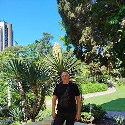 ��������, �����������, 63 ����