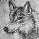 ���� ��������, ������, 65 ��� - ��������� 20 ����� 2026 � ������ ���� ����������