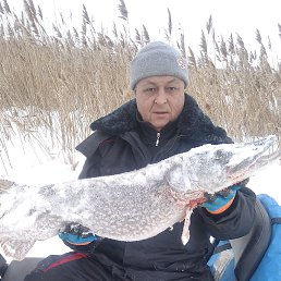 ���� ��������, ������, 54 ���� - ��������� 10 ������� 2026