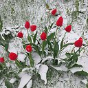 ���� ����..., �����, 50 ��� - ��������� 27 ������ 2026 � ������ ���� ����������
