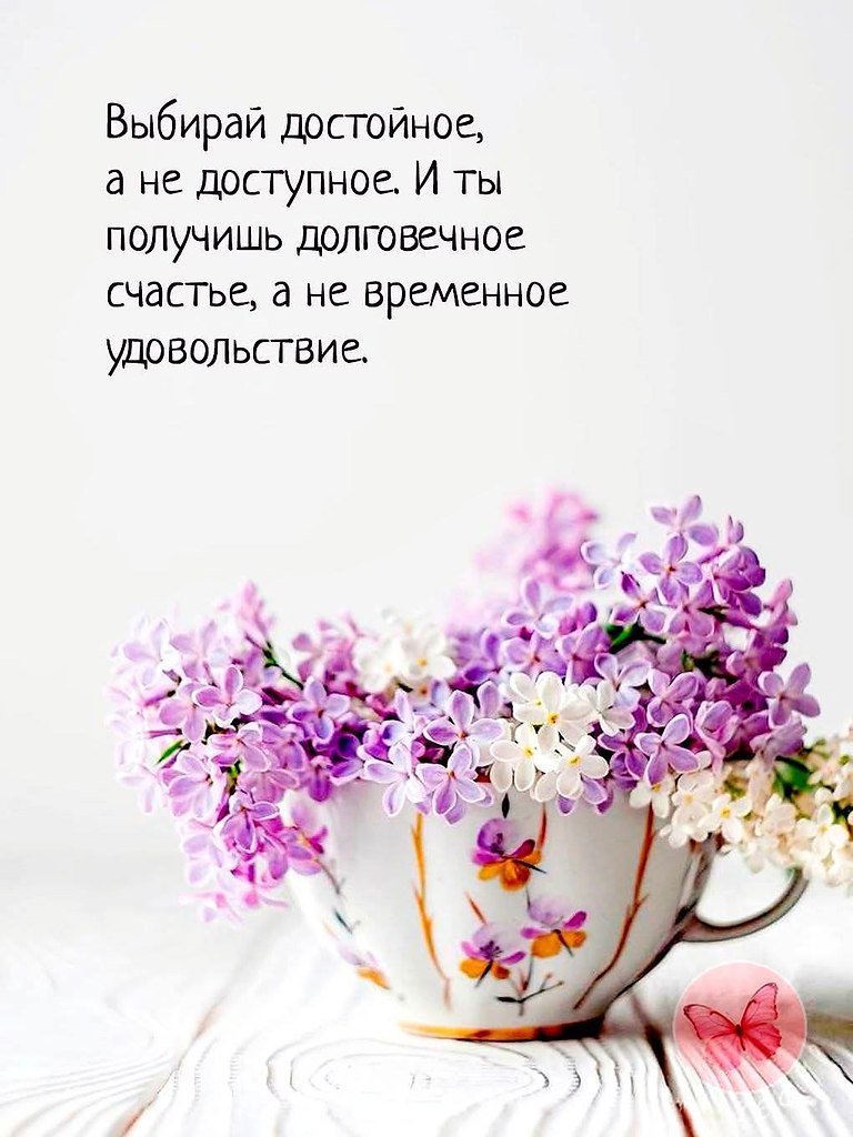 �������� ������ - 3 ���� 2026 � 17:25