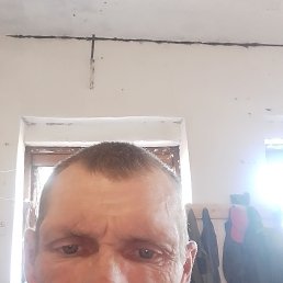 ����, 50 ���, ������