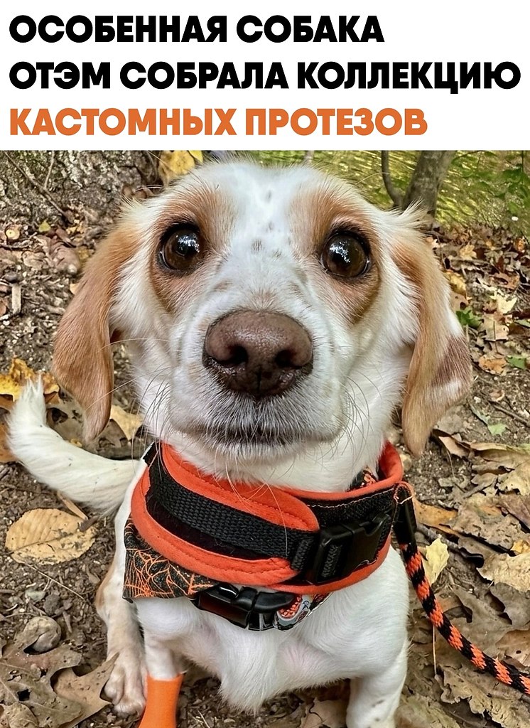 ������� ���� �������� ��� ����� �����, �� ��� �� ������ �� ���������� �����. ������ ������ ������ ...