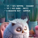 ���� ���������, ������, 42 ���� - ��������� 3 ������ 2026 � ������ ���� ����������