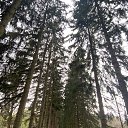 ���� �����, ������ - ��������� 16 ������ 2026 � ������ ������ ��������