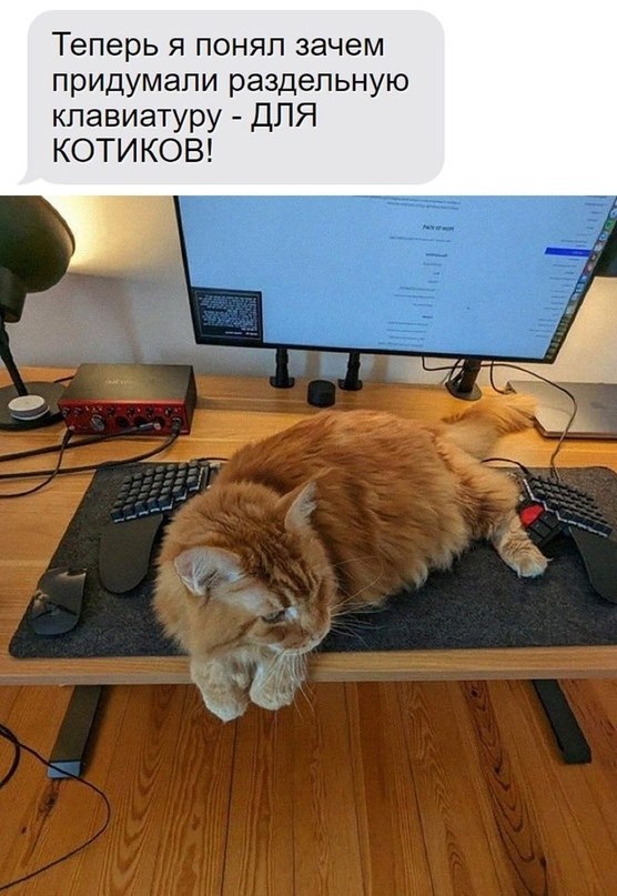   ???       ...
