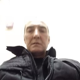 , 56, 