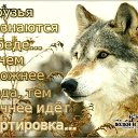 ���� ������, ������, 39 ��� - ��������� 25 ������� 2025 � ������ ���� ����������